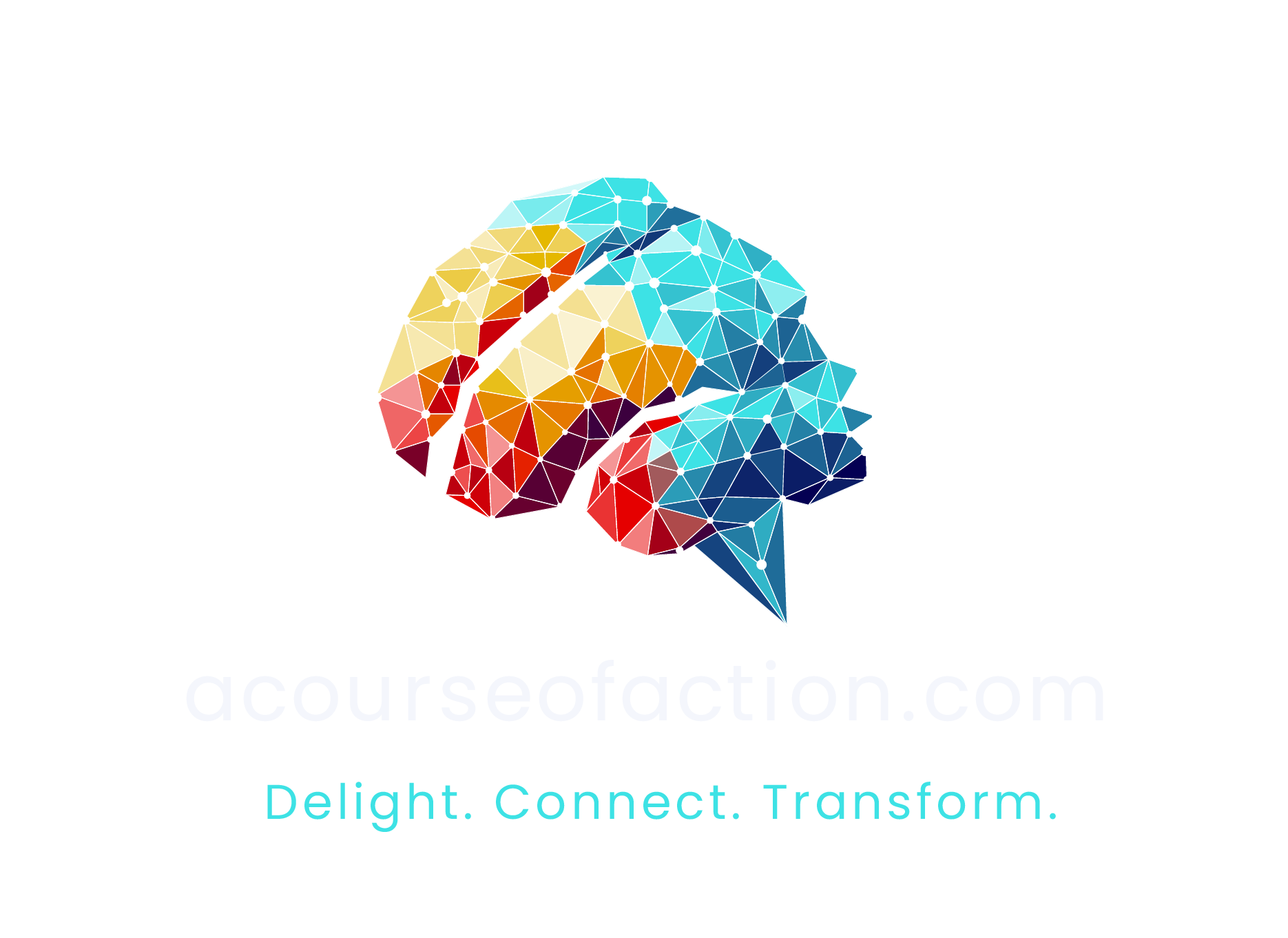 acourseofaction.com